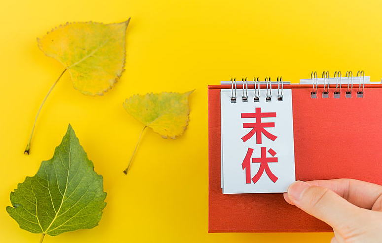 什么叫三伏天 三伏天是指哪三伏 什么叫三伏天 三伏天是指哪三伏