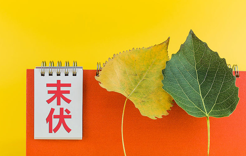 什么叫三伏天 三伏天是指哪三伏 什么叫三伏天 三伏天是指哪三伏