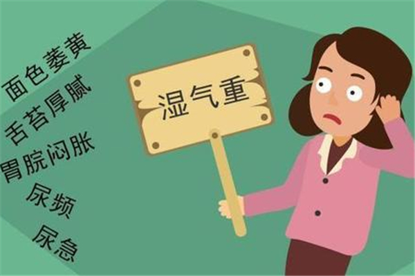濕氣重會導致月經(jīng)失調(diào)嗎 濕氣重會引起什么疾病 濕氣重會導致月經(jīng)失調(diào)嗎 濕氣重會引起什么疾病