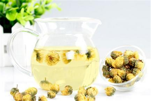 菊花茶胃寒的人可以喝嗎 菊花茶會刺激胃嗎 菊花茶胃寒的人可以喝嗎 菊花茶會刺激胃嗎