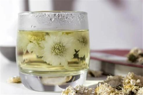 菊花茶泡了為什么會(huì)變綠 菊花茶怎么泡才正確 菊花茶泡了為什么會(huì)變綠 菊花茶怎么泡才正確