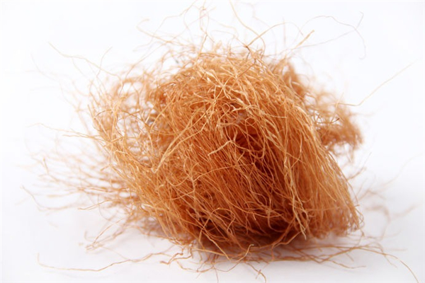 玉米須可以長期泡水喝嗎 玉米須長期泡水喝有什么副作用嗎 玉米須可以長期泡水喝嗎 玉米須長期泡水喝有什么副作用嗎