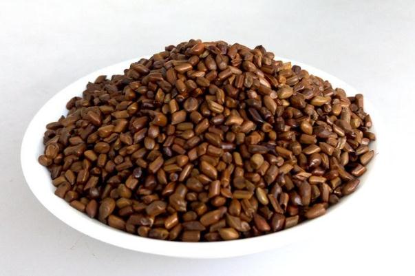 決明子對(duì)眼睛的功效與作用 決明子對(duì)肝臟有損害嗎 決明子對(duì)眼睛的功效與作用 決明子對(duì)肝臟有損害嗎