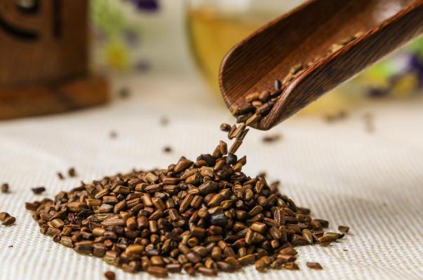 決明子的功效 決明子的副作用 決明子的功效 決明子的副作用