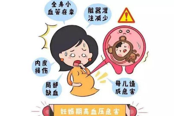 孕期高血壓怎么降下來(lái) 孕期高血壓是怎么引起的 孕期高血壓怎么降下來(lái) 孕期高血壓是怎么引起的