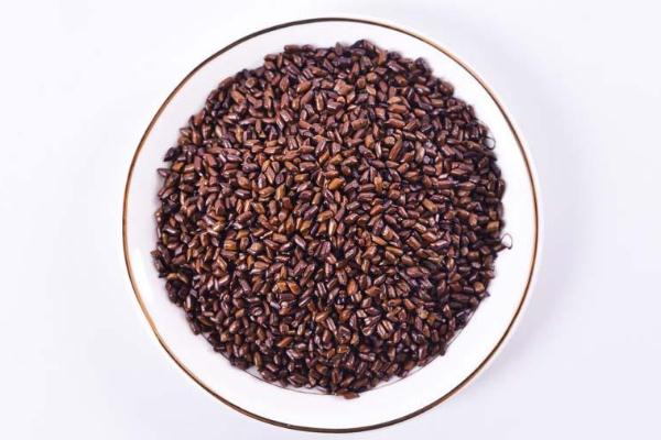 決明子泡水能每天長期喝嗎 決明子泡水一次放多少 決明子泡水能每天長期喝嗎 決明子泡水一次放多少