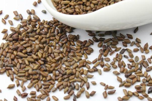 決明子對(duì)眼睛的功效與作用 決明子對(duì)肝臟有損害嗎 決明子對(duì)眼睛的功效與作用 決明子對(duì)肝臟有損害嗎