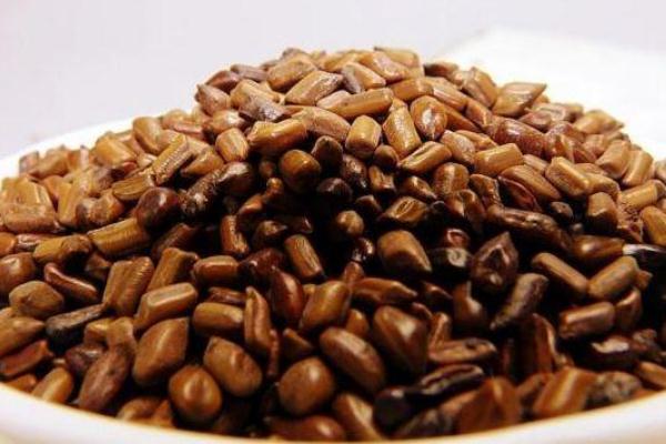 決明子對(duì)眼睛的功效與作用 決明子對(duì)肝臟有損害嗎 決明子對(duì)眼睛的功效與作用 決明子對(duì)肝臟有損害嗎