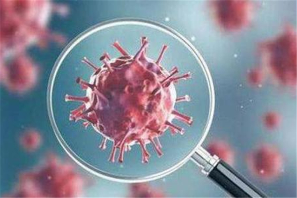 新冠疫苗打完健康碼什么時(shí)候有金邊 新冠疫苗打完健康碼不顯示怎么辦 新冠疫苗打完健康碼什么時(shí)候有金邊 新冠疫苗打完健康碼不顯示怎么辦