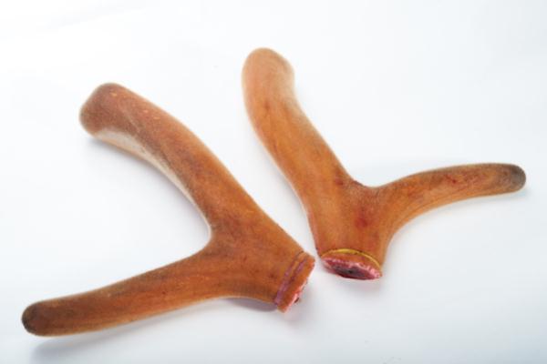 鹿茸片有什么用 鹿茸片有保質(zhì)期嗎 鹿茸片有什么用 鹿茸片有保質(zhì)期嗎