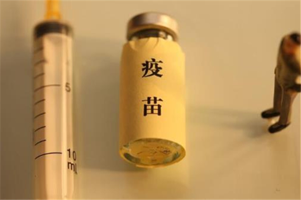 新冠疫苗接種后可以吃雪糕嗎 新冠疫苗打完后可以吃冷飲嗎 新冠疫苗接種后可以吃雪糕嗎 新冠疫苗打完后可以吃冷飲嗎