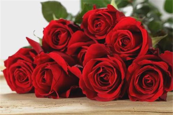 七夕節(jié)要送女朋友禮物嗎 七夕送女孩子怎么禮物比較好 七夕節(jié)要送女朋友禮物嗎 七夕送女孩子怎么禮物比較好