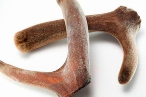 鹿茸的功效與作用吃法 鹿茸如何吃可以壯陽 鹿茸的功效與作用吃法 鹿茸如何吃可以壯陽