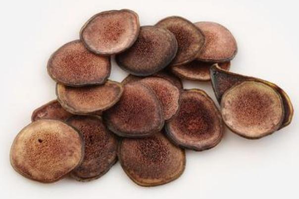 鹿茸泡水喝的功效 鹿茸泡水喝的方法 鹿茸泡水喝的功效 鹿茸泡水喝的方法