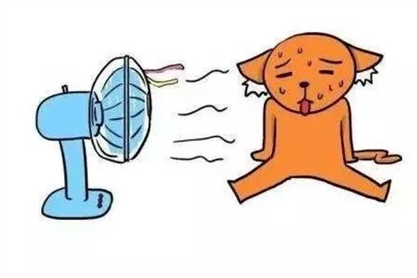 防暑降溫飲料有哪些 防暑喝什么好 防暑降溫飲料有哪些 防暑喝什么好