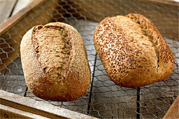 全麥面包對(duì)腸胃好嗎 全麥面包對(duì)身體有害嗎 全麥面包對(duì)腸胃好嗎 全麥面包對(duì)身體有害嗎