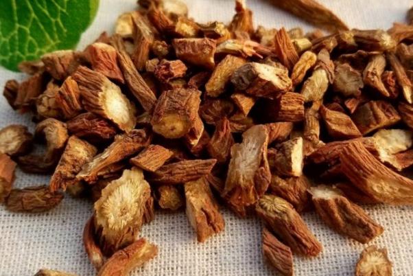 丹參有降血壓的作用嗎 丹參要怎么食用 丹參有降血壓的作用嗎 丹參要怎么食用