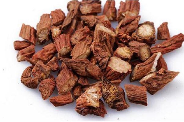 丹參的功效與作用 丹參的副作用 丹參的功效與作用 丹參的副作用