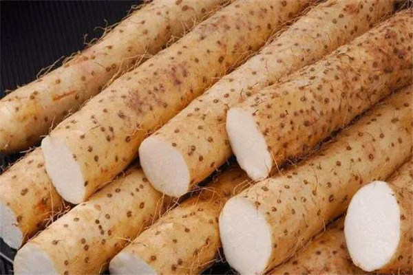 山藥有幾個(gè)品種 山藥哪個(gè)品種好吃 山藥有幾個(gè)品種 山藥哪個(gè)品種好吃
