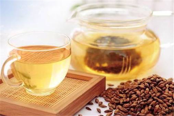 大麥茶可以減肥嗎 大麥茶的作用和功效 大麥茶可以減肥嗎 大麥茶的作用和功效