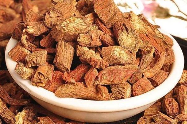 丹參對高血壓的功效與作用 丹參對心臟有什么好處 丹參對高血壓的功效與作用 丹參對心臟有什么好處