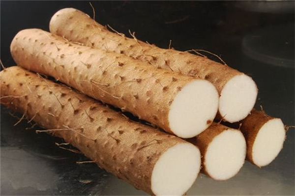 山藥發(fā)芽了還能吃嗎 山藥怎么保存時(shí)間長 山藥發(fā)芽了還能吃嗎 山藥怎么保存時(shí)間長