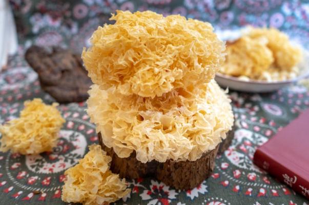 銀耳是涼性還是熱性 銀耳是酸性還是堿性 銀耳是涼性還是熱性 銀耳是酸性還是堿性