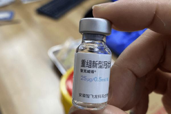 吃感冒藥能打新冠疫苗嗎 吃感冒藥多久可以打新冠疫苗 吃感冒藥能打新冠疫苗嗎 吃感冒藥多久可以打新冠疫苗