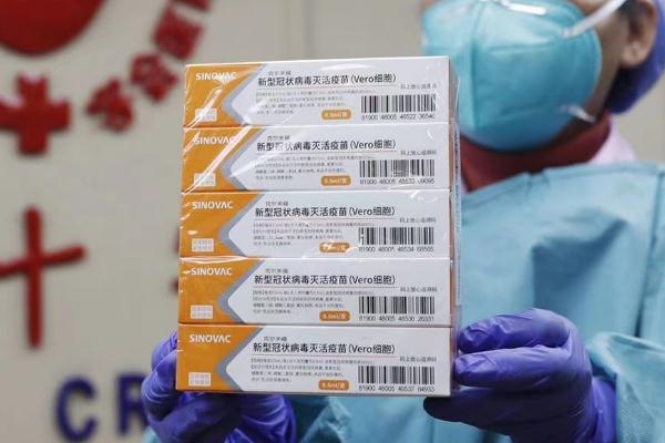 吃消炎藥可以打新冠疫苗嗎 吃消炎藥打新冠疫苗會(huì)有什么影響 吃消炎藥可以打新冠疫苗嗎 吃消炎藥打新冠疫苗會(huì)有什么影響