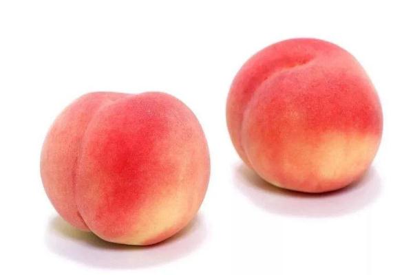 水蜜桃要怎么保存 水蜜桃要放冰箱保存嗎 水蜜桃要怎么保存 水蜜桃要放冰箱保存嗎