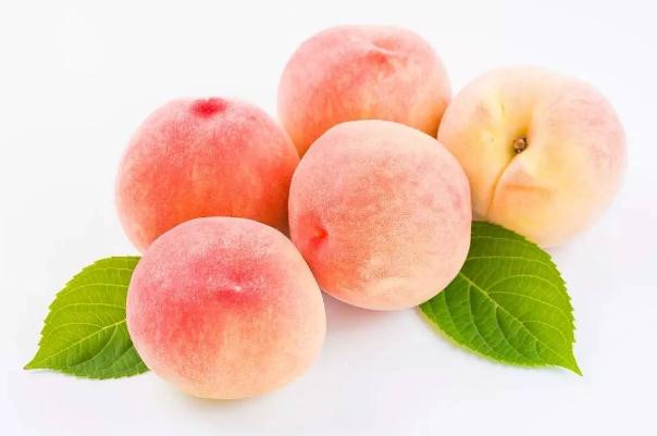 水蜜桃的功效與作用 水蜜桃有哪些營養(yǎng)價值 水蜜桃的功效與作用 水蜜桃有哪些營養(yǎng)價值