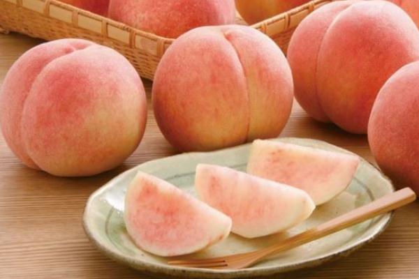 水蜜桃的功效與作用 水蜜桃有哪些營養(yǎng)價值 水蜜桃的功效與作用 水蜜桃有哪些營養(yǎng)價值