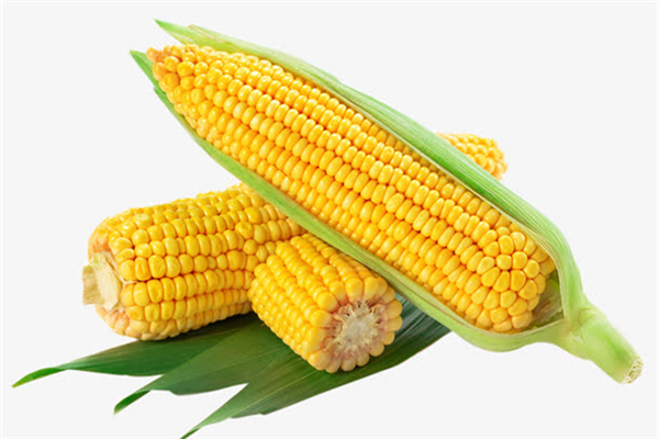 玉米煮多久會熟 玉米煮的好吃還是蒸的 玉米煮多久會熟 玉米煮的好吃還是蒸的