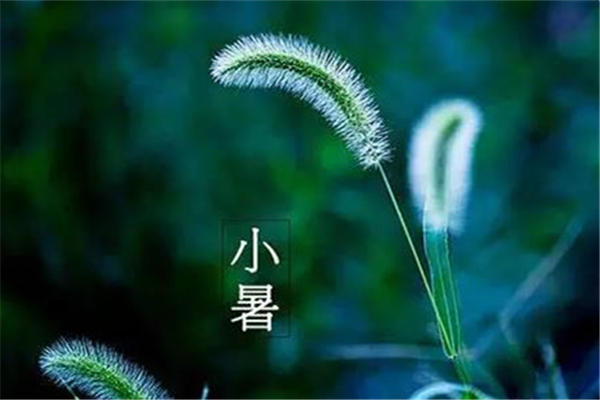 小暑怎么養(yǎng)生 小暑要吃什么 小暑怎么養(yǎng)生 小暑要吃什么