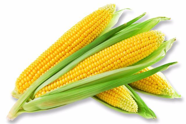 玉米煮多久會熟 玉米煮的好吃還是蒸的 玉米煮多久會熟 玉米煮的好吃還是蒸的