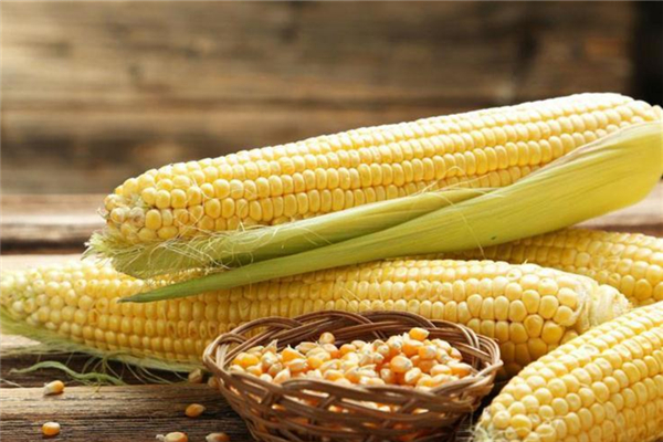 煮玉米是冷水下鍋還是熱水下鍋 玉米怎么煮好吃 煮玉米是冷水下鍋還是熱水下鍋 玉米怎么煮好吃