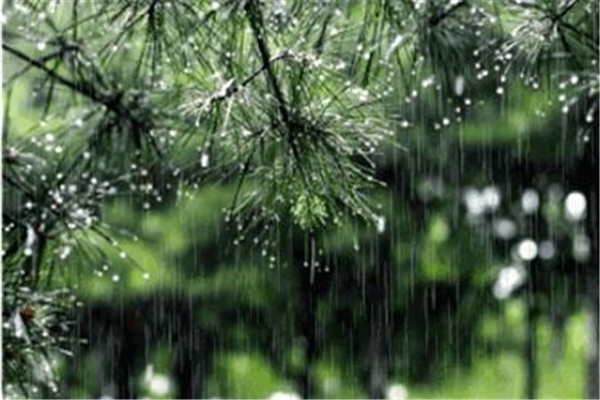 梅雨季節(jié)家里潮濕是開窗還是關窗 梅雨季節(jié)要注意什么 梅雨季節(jié)家里潮濕是開窗還是關窗 梅雨季節(jié)要注意什么