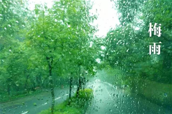 梅雨季節(jié)2021什么時間入梅 梅雨季節(jié)2021什么時間出梅 梅雨季節(jié)2021什么時間入梅 梅雨季節(jié)2021什么時間出梅