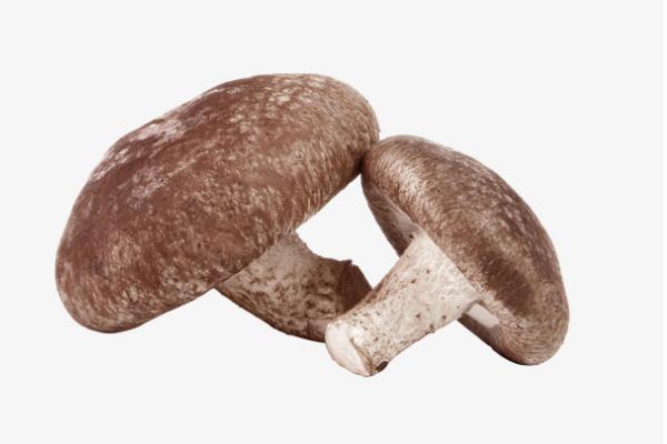 香菇會(huì)過敏嗎 香菇過敏怎么辦 香菇會(huì)過敏嗎 香菇過敏怎么辦