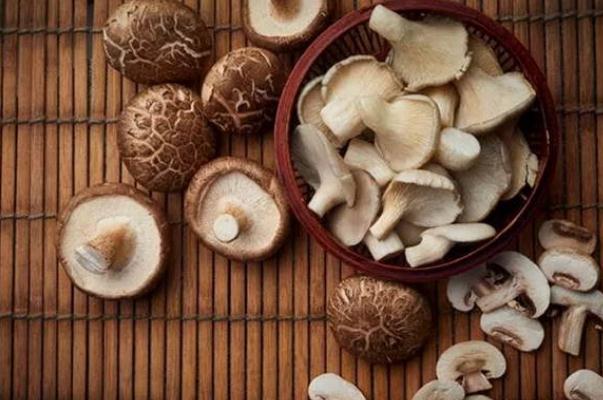 香菇對胃好嗎 香菇對胃病有好處嗎 香菇對胃好嗎 香菇對胃病有好處嗎