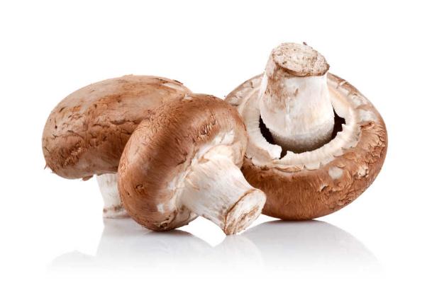 吃香菇過敏是什么癥狀 吃香菇過敏是什么原因 吃香菇過敏是什么癥狀 吃香菇過敏是什么原因