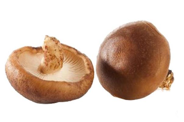 香菇會(huì)過敏嗎 香菇過敏怎么辦 香菇會(huì)過敏嗎 香菇過敏怎么辦