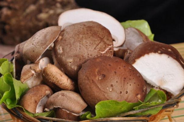 吃香菇過敏是什么癥狀 吃香菇過敏是什么原因 吃香菇過敏是什么癥狀 吃香菇過敏是什么原因