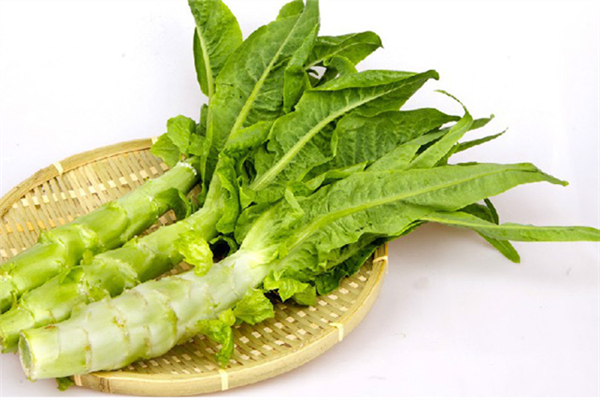 萵筍和萵苣一樣嗎 萵筍和萵苣有什么區(qū)別 萵筍和萵苣一樣嗎 萵筍和萵苣有什么區(qū)別