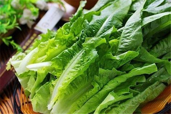 萵筍葉子可以吃嗎 萵筍葉子的作用和功效 萵筍葉子可以吃嗎 萵筍葉子的作用和功效