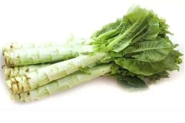 萵筍和萵苣一樣嗎 萵筍和萵苣有什么區(qū)別 萵筍和萵苣一樣嗎 萵筍和萵苣有什么區(qū)別