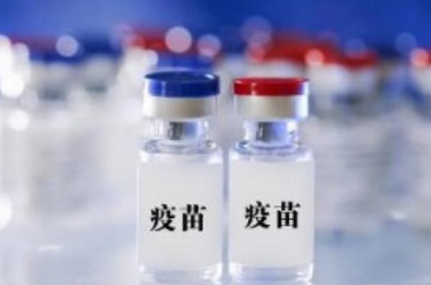 第二針新冠疫苗打完多久產(chǎn)生抗體 第二針新冠疫苗打完有什么反應(yīng) 第二針新冠疫苗打完多久產(chǎn)生抗體 第二針新冠疫苗打完有什么反應(yīng)