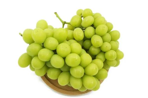 青提葡萄可以做葡萄酒嗎 青提葡萄可以吃皮嗎 青提葡萄可以做葡萄酒嗎 青提葡萄可以吃皮嗎