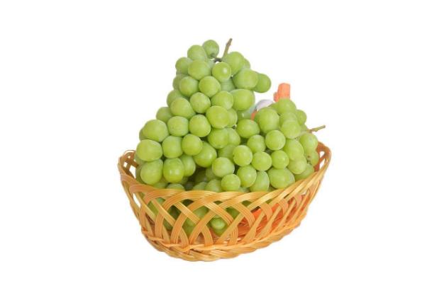 吃青提有什么好處 吃青提會發(fā)胖嗎 吃青提有什么好處 吃青提會發(fā)胖嗎