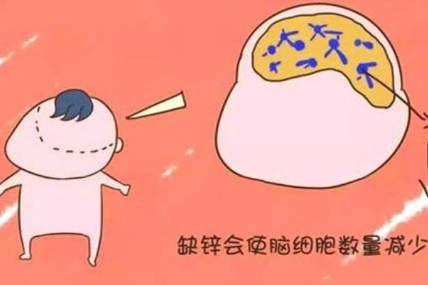 寶寶缺鋅會(huì)引起什么癥狀 寶寶缺鋅會(huì)影響睡眠嗎 寶寶缺鋅會(huì)引起什么癥狀 寶寶缺鋅會(huì)影響睡眠嗎